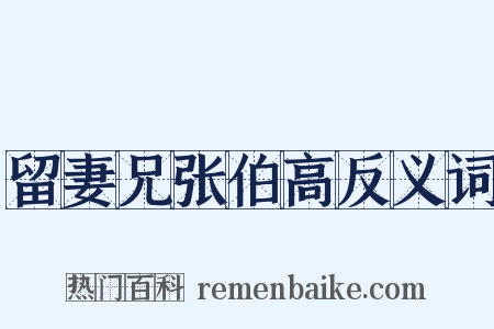 留妻兄张伯高反义词是什么意思的图片